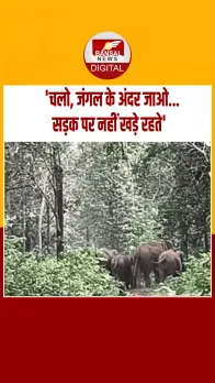 छत्तीसगढ़ के जंगल में अनोखा नज़ारा! ‘हाथी मित्र दल’ की बात मानते दिखे 15 हाथी, वीडियो हुआ वायरल