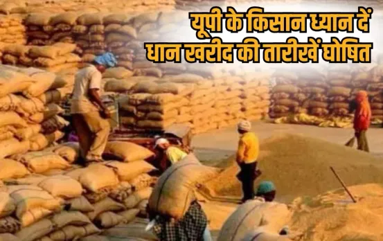 _UP Dhan Kharidi paddy-procurement-2025-msp-registration-dates hindi news zxc