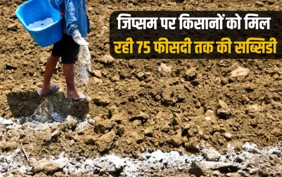UP Government give 75 percent subsidy farmers Jipsum purchase zxc