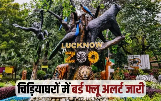 UP Lucknow Bird Flu alert Gorakhpur tigress dead zoo close 7 days