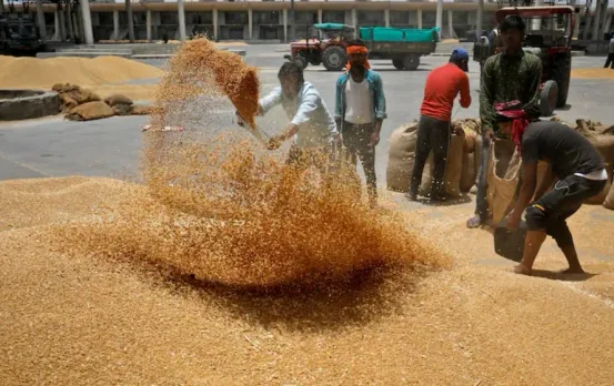 UP Lucknow record wheat purchased 9.26 lakh metric tonne till 8 may zxc