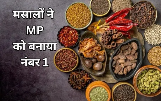एमपी के किसानों ने उगाई 54 लाख टन मसाले की फसलें: स्पाइस स्टेट बनकर देश में मध्य प्रदेश का पहला स्थान