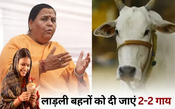 Uma Bharti press conference 2 cows to ladli behna gou samvardhan sankalp hindi news