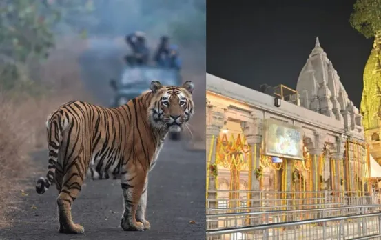 Uttar Pradesh Eco Tourism Development Board Fam Trip 2025