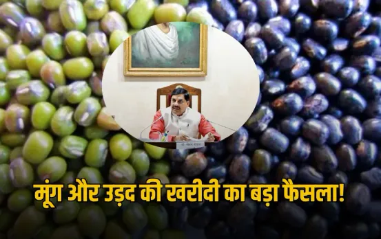 MP के किसानों को बड़ा तोहफा: इस दिन से होगी मूंग-उड़द की खरीदी, तय हुई MSP, जानिए पूरी प्रोसेस