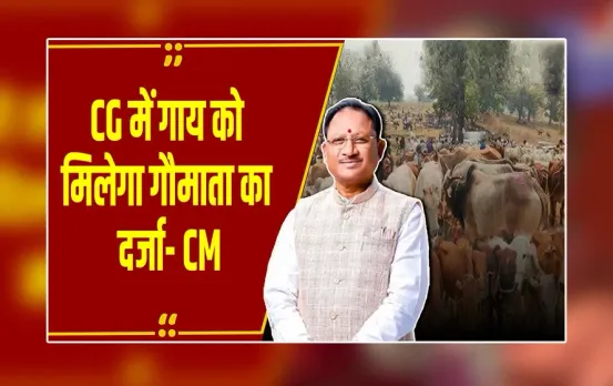 Raipur : CM विष्णुदेव साय का गौ रक्षा को लेकर बड़ा कदम, गाय को जल्द मिलेगा 'गौमाता' का दर्जा
