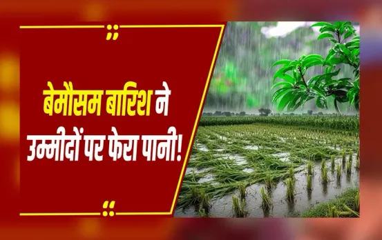 Weather Update: MP में बेमौसम बारिश,बंगाल की खाड़ी का तूफान छठ में डाल सकता है खलल, अलर्ट जारी