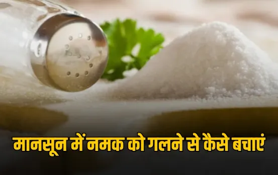 How To Keep Salt Dry: बारिश में नमक हो जाता है गीला? तो अपनाएं ये 5 देसी घरेलू उपाय