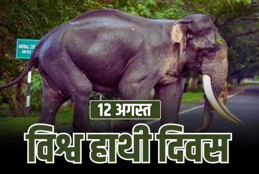 World Elephant Day 12 august