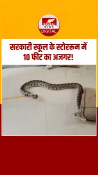 Python InSchool: जालौन के सरकारी स्कूल में मिड-डे मील स्टोररूम से निकला अजगर, मचा हड़कंप