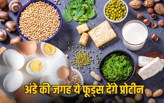 High Protein Foods: प्रोटीन चाहिए लेकिन अंडा नहीं खाते? जानिए अंडे की जगह कौन से फूड्स देंगे पूरा प्रोटीन