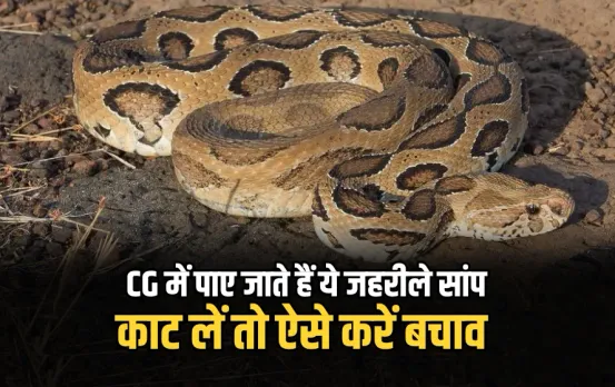 Chhattisgarh Snake Species