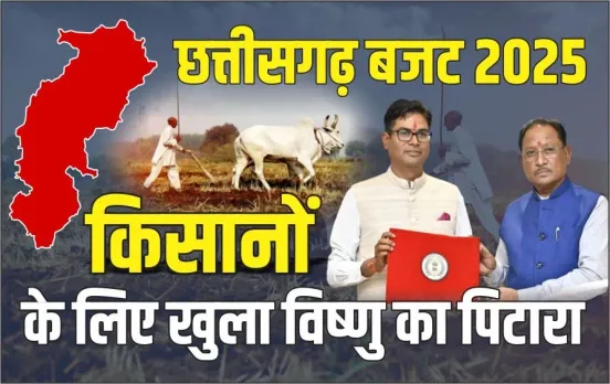 CG Agriculture Budget 2025: सिंचाई के लिए किसानों को मिलेगी फ्री बिजली, भूमिहीन कृषि मजदूरों को 10 हजार रुपए देगी सरकार