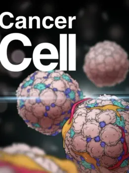 Cancer Causing Products