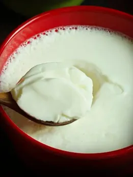 CURD BENEFITS IN WINTERS