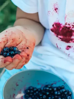 jamun stains on clothes