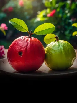 Red Gauva Vs White Gauva