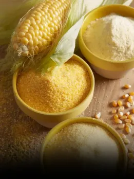 home made corn flour 6