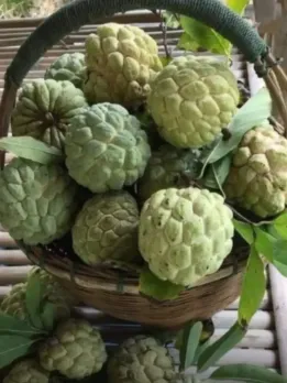 WhatsApp Image 2025-11-08 at 2.21.13 PM (2)