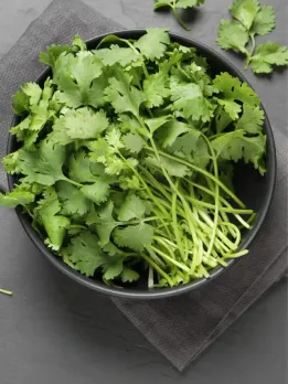 fe2e7470e81fff89b60bd3e1c2e5fe36