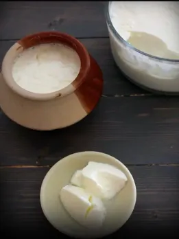 set curd without starter TRICK