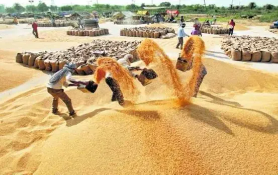 MP Dhan Ghotala: एमपी में धान उपार्जन में घोटाला, 8 जिलों की 38 समितियों पर EOW की कार्रवाई, 145 के खिलाफ मामला दर्ज