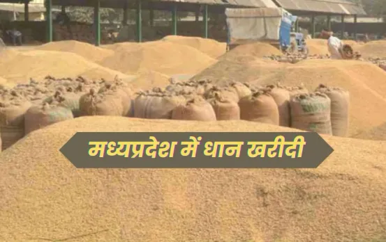 किसानों के लिए अच्छी खबर: समर्थन मूल्य पर धान खरीदी शुरू, जानिए रेट, नियम और कैसे होगा भुगतान