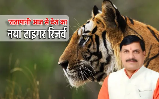 CM Mohan Yadav at Ratapani Tiger Reserve