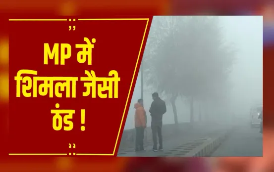 MP Weather : MP में शिमला जैसी ठंड, 23 जिलों में सीवियर कोल्ड वेव अलर्ट जारी