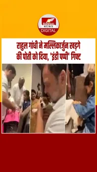 राहुल गांधी ने कांग्रेस के अध्यक्ष मल्लिकार्जुन खड़गे की पोती को जन्मदिन पर दिया प्यारा गिफ्ट, वायरल वीडियो