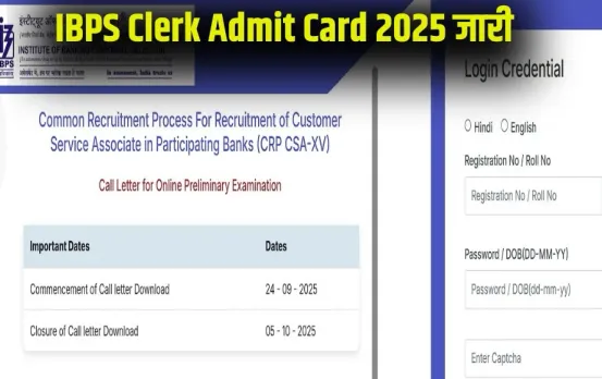 ibps-clerk-admit-card-2025-pet-hall-ticket-download hindi news zxc