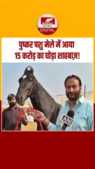 ढाई साल के शाहबाज़ घोड़े की कीमत 15 करोड़, मालिक बोले– 