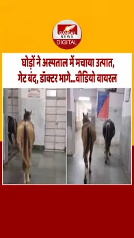 झांसी रेलवे अस्पताल बना रेसकोर्स, इंसान नहीं, 'घोड़ों' की मौज हो रही है, मरीज और डॉक्टरों में मचा हड़कंप