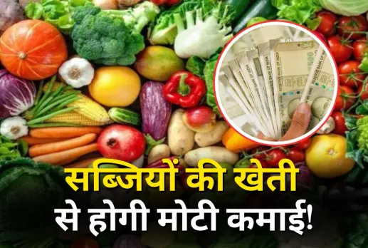 Low Cost High Profit Business Idea