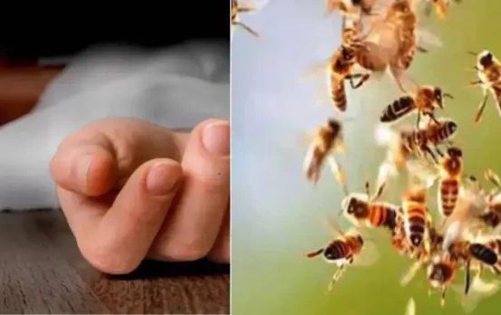 Jagdalpur Bee Attack: मधुमक्खियों के हमले से बचने तालाब में कूदे पिता-पुत्र, डूबने से दोनों की मौत