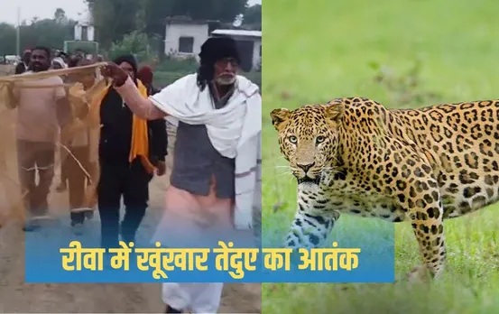 MP News: एमपी के इस गांव में आदमखोर तेंदुए की दहशत, ड्रोन से हो रही निगरानी, जाल लेकर जंगल पहुंचे भाजपा नेता