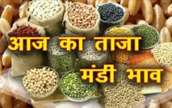 Indore Mandi Bhav: इंदौर मंडी के ताजा भाव, जानिए अनाज, दाल, चावल, तेल और लहसुन की लेटेस्ट कीमतें