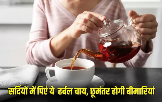 Herbal Tea Heart Health Tips: दिल बनेगा मजबूत और कोलेस्ट्रॉल रहेगा कंट्रोल, ठंड में डाइट में शामिल करें ये 5 हर्बल टी