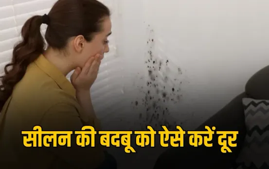 Rainy Season Damp Smell in Home: बारिश में घर से आ रही है सीलन की बदबू? अपनाएं ये आसान उपाय और पाएं राहत