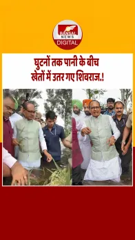 ट्रैक्टर पर बैठे, खेतों में उतरे.. पंजाब पहुंचे कृषि मंत्री Shivraj, किसानों से जाना फसलों का हाल.!