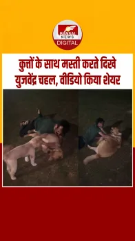 Viral Video: क्रिकेटर युजवेंद्र चहल ने इंस्टाग्राम पर कुत्तों संग शेयर किया मज़ेदार वीडियो, फैंस को खूब आया पसंद