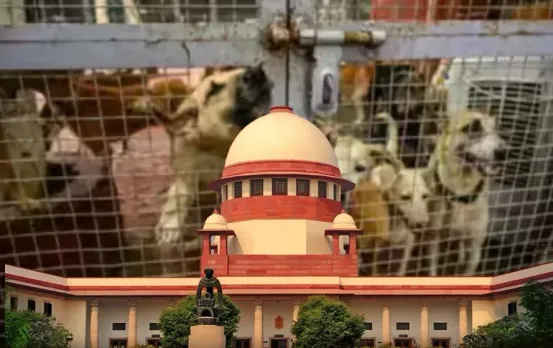 झांसी में 12 साल के बच्चे की हत्या: गला काटा, प्राइवेट पार्ट पर चोट के निशान, प्रॉपर्टी विवाद की वजह से ताऊ-ताई पर आरोप