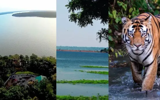 Best Palace to Visit in MP: 'रातापानी' MP का छुपा हुआ खजाना, वाइल्ड लाइफ से लेकर प्राकृति का आनंद, घूमने जरूर जाएं