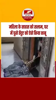 उदयपुर के नया टापरा गांव के घर में घुसा तेंदुआ, अद्भुत साहस से महिला ने रस्सी से बांधा, वीडियो वायरल