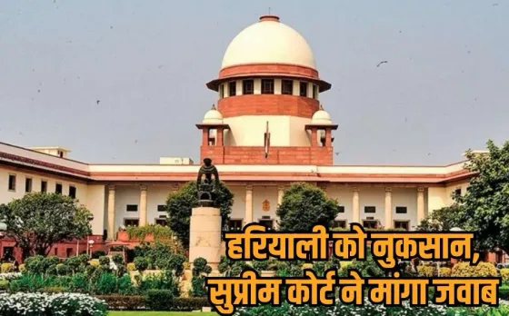 Bhopal Tree Felling Case: परमिशन 132 की थी, सड़क चौड़ीकरण के लिए काट डाले 800 पेड़, NGT के आदेशों की अनदेखी पर HC सख्त