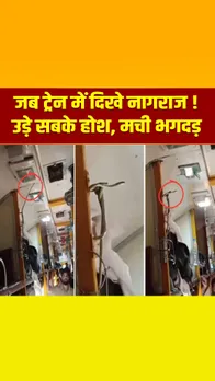 MP NEWS: पटरियों पर दौड़ रही थी जबलपुर-मुंबई गरीब रथ एक्सप्रेस, दिखा जहरीला सांप, यात्रियों में मची भगदड़, देखें वीडियो
