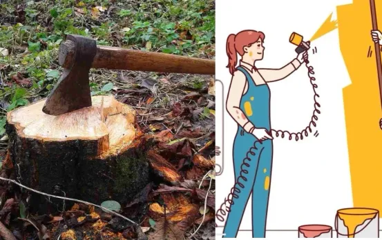 MP Vidhan Sabha: पेड़ काटा या बिना अनुमति दीवार पर लिखने पर लगेगा भारी जुर्माना, बदल गए 5 बड़े नियम