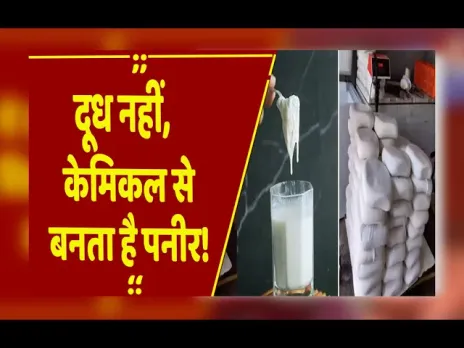 बिलासपुर में पनीर का बड़ा धोखा!: सस्ते पनीर के पीछे छुपा खतरनाक सच, सेहत को हो सकता है नुकसान