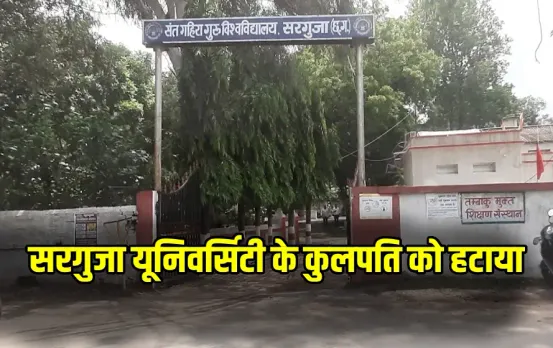 Vice Chancellor removed