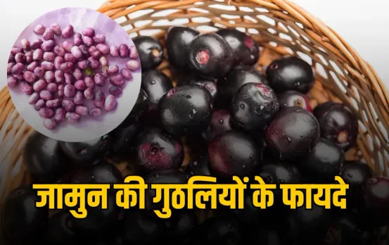 Jamun Seeds Powder Benefits: जामुन से ज्यादा फायदेमंद है उसकी गुठली, 15 दिन का ऐसा नुस्खा जो शुगर-पथरी में है कारगर